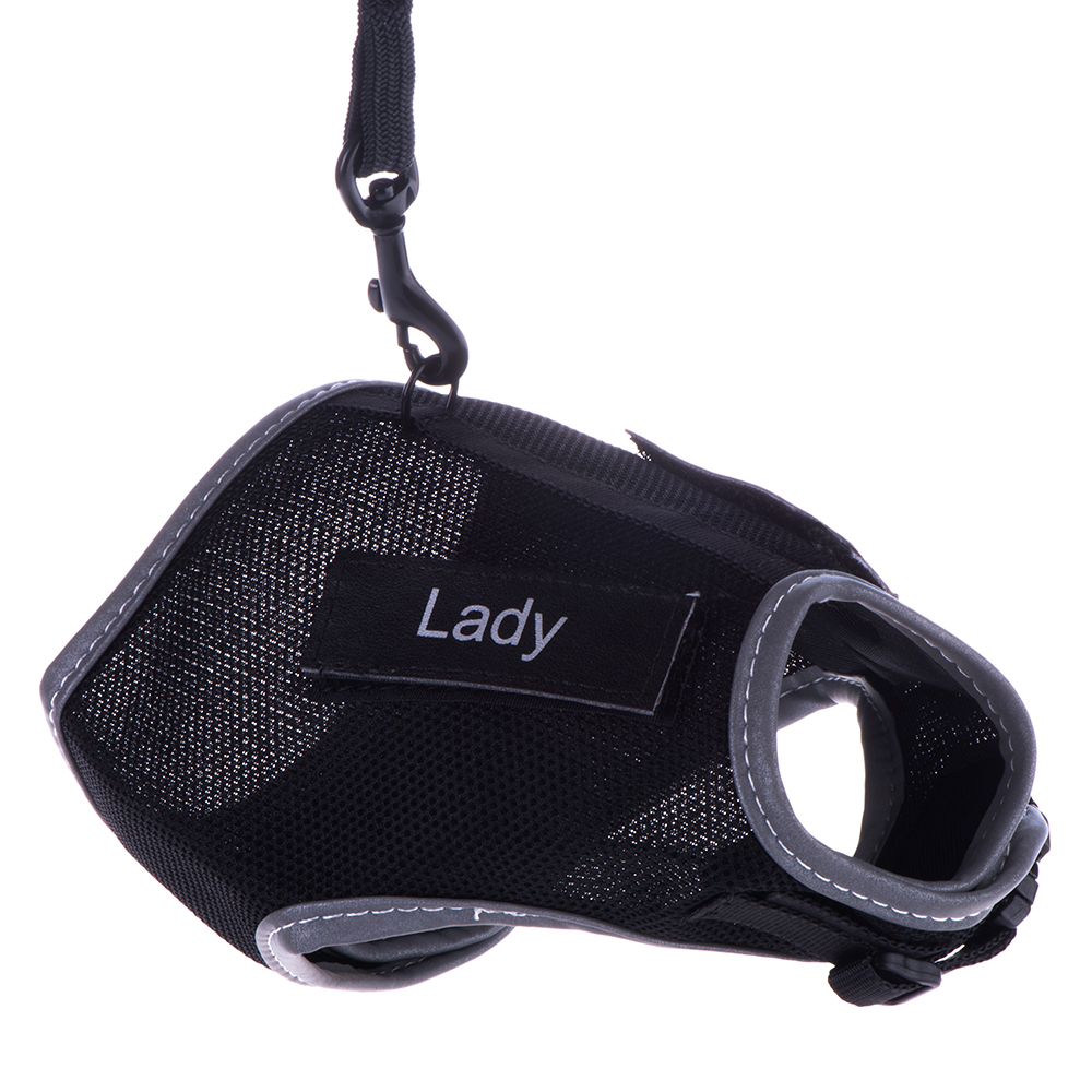 63636_PLA_Trixie_Katzengeschirr_XCat_mit_DSC1310_6