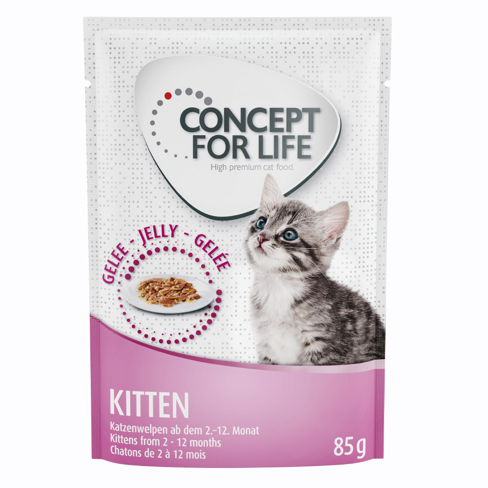 in Gelei Concept for Life Kattenvoer | De Kattensite Webshop