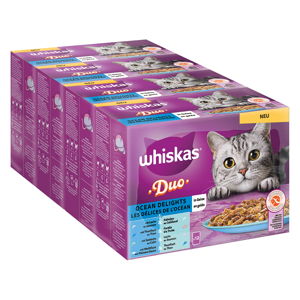 355996_pla_mars_multipack_whiskas_duo_portionsbeutel_oceandelights_gelee_48x85g_hs_01_4