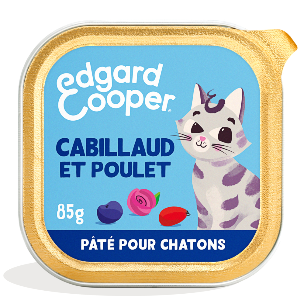 363007_pla_edgard_cooper_kitten_pate_85g_cod_chicken_1000x1000_hs_01_9