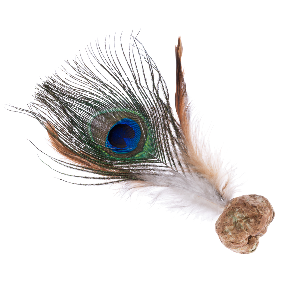 459205_ml_kathmandu_peacock_feather_fg_8143_8