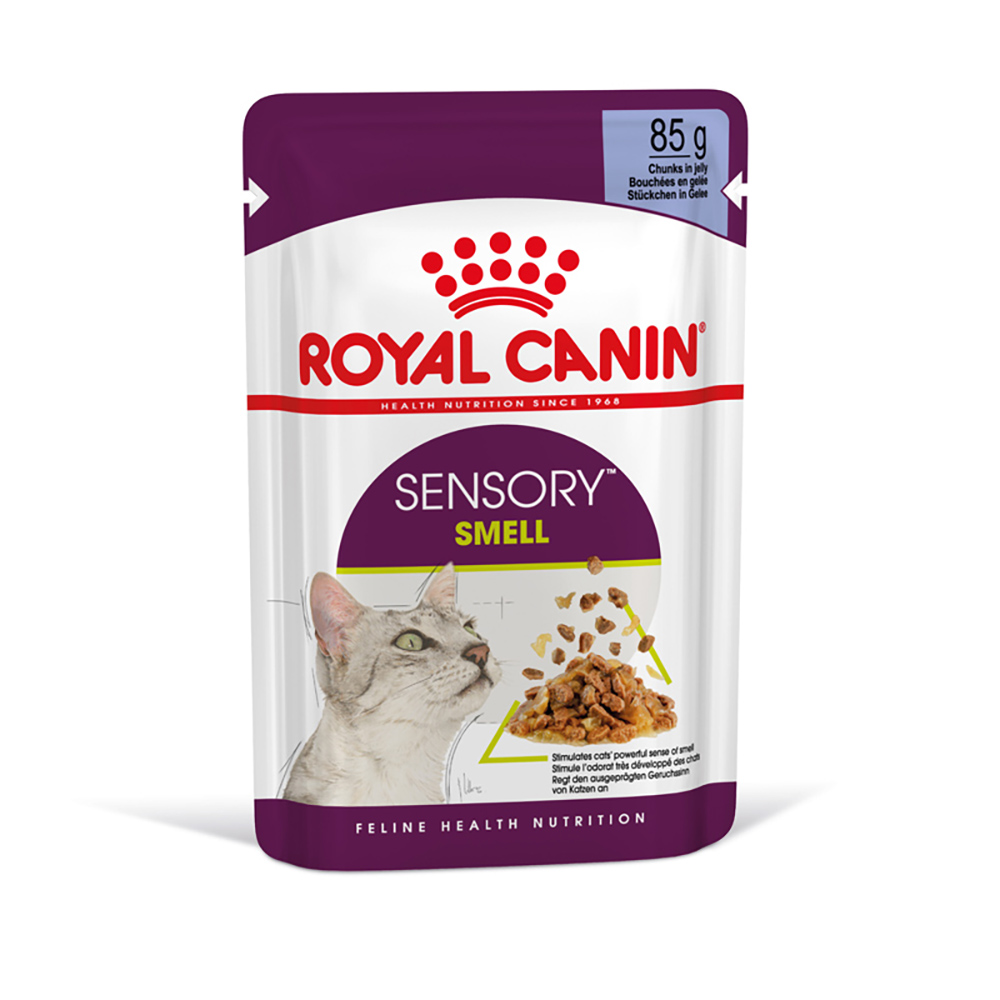 533784_pla_royal_canin_sensory_smell_in_jelly_12x85g_hs_02_jpg_1