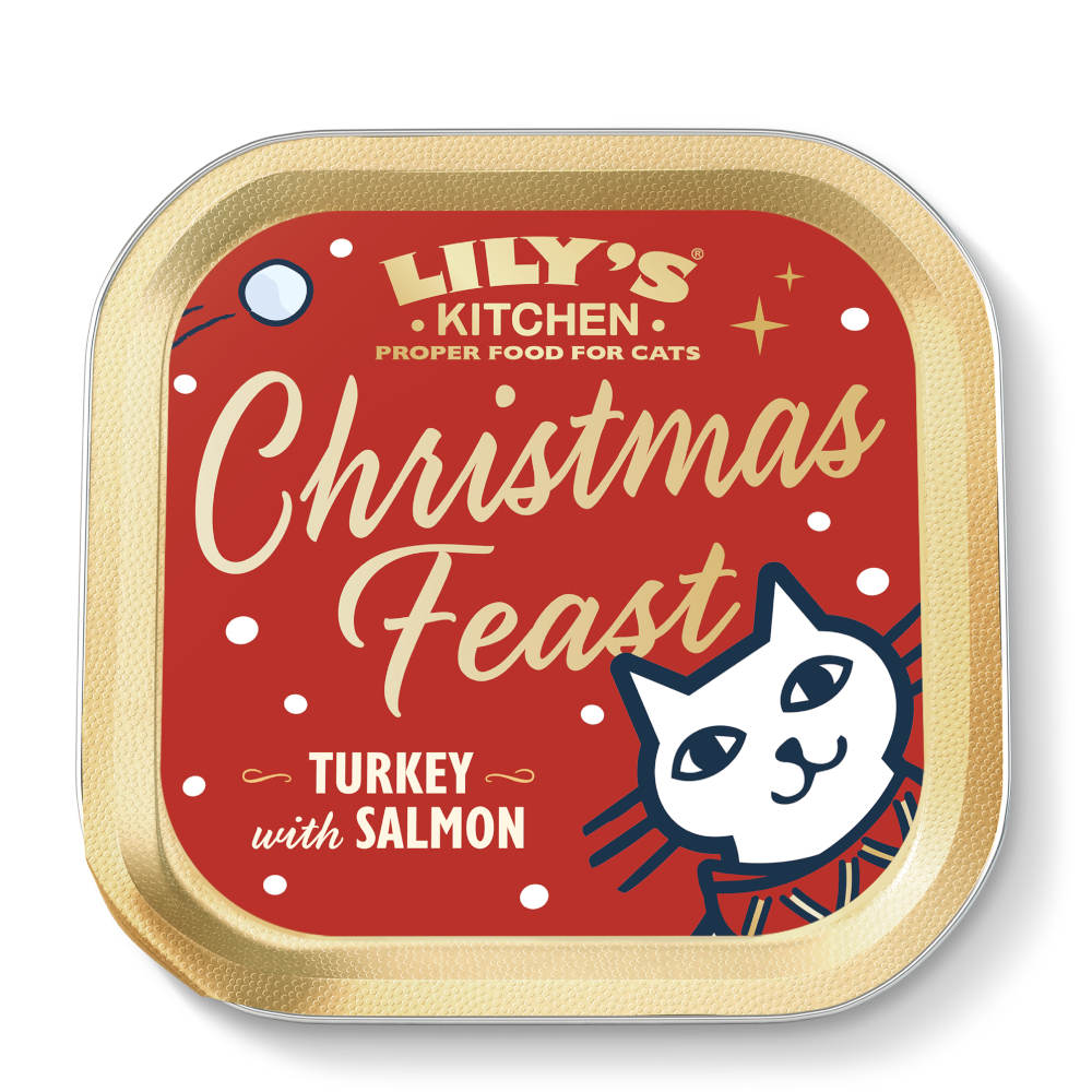 613707_pla_lily_s_kitchen_festive_treats_in_pate_truthahn_mit_lachs_85g_hs_01_7