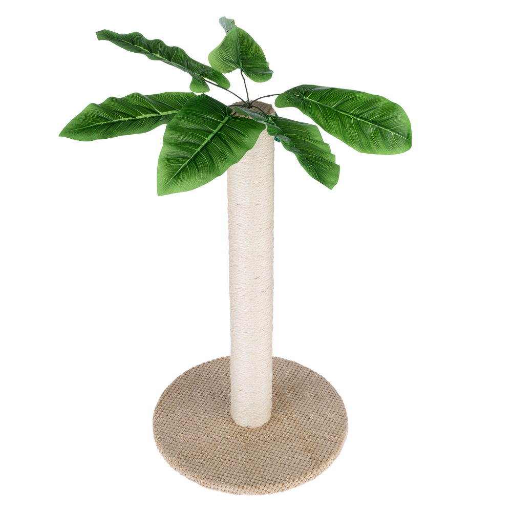 480296_pla_tiaki_nature_palma_fg_7929_7