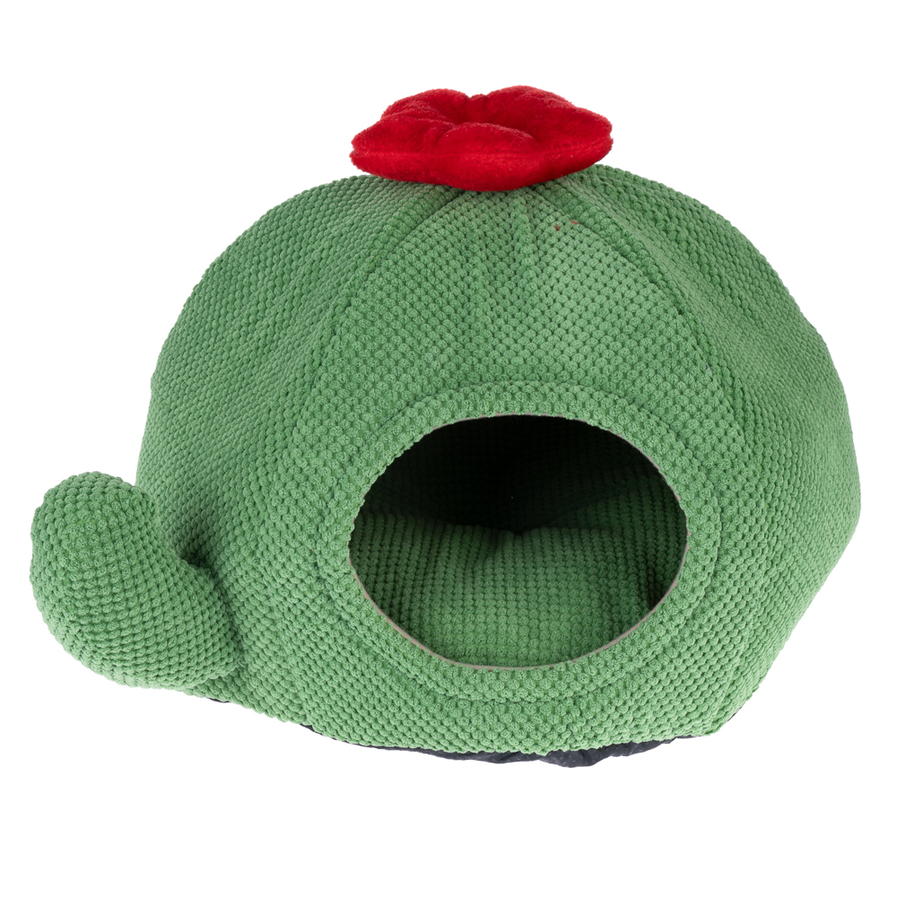 488173_tiaki_nature_cat_cave_cactus_fg_7970_7