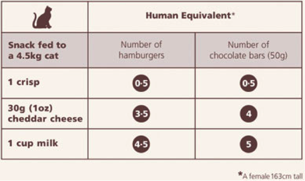 Hoeveelheden voer kat/mens