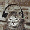 Kitten met een koptelefoon