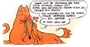Jeweetwel-kater