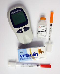 Insuline en bloedmeter bij suikerziekte van een kat