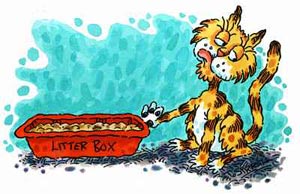 Cartoon: kat met afkeer van de kattenbak