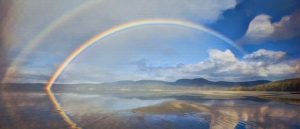 Regenboog