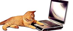 Kat achter een laptop