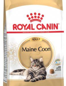 Royal Canin Maine Coon