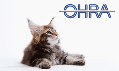 OHRA huisdierenverzekering