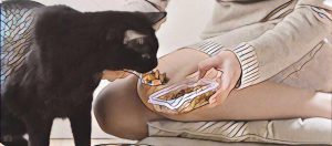 Koolhydraatarm kattenvoer - vrouw voert kat