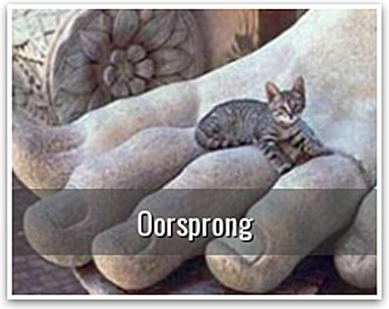 Oorsprong van de kat