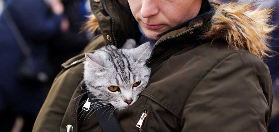 Oekrainse vluchteling met kat